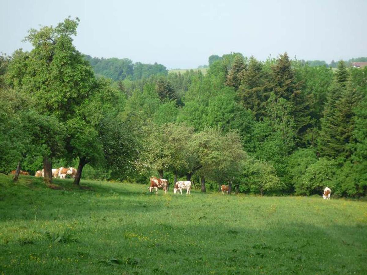 Ringerhof Bad Endorf Exterior foto
